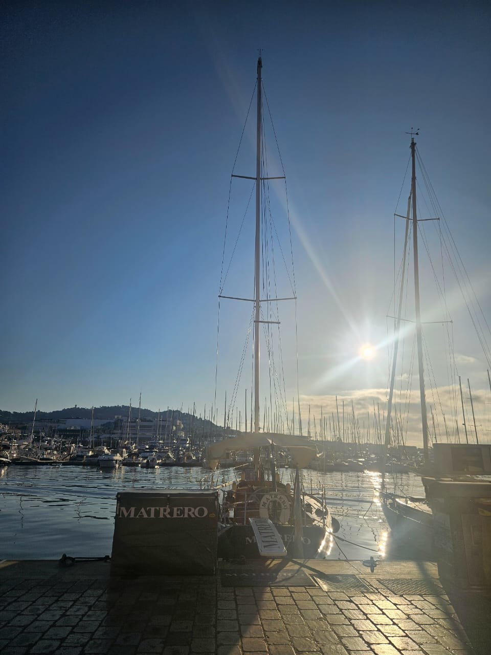 Régates Royales 2025